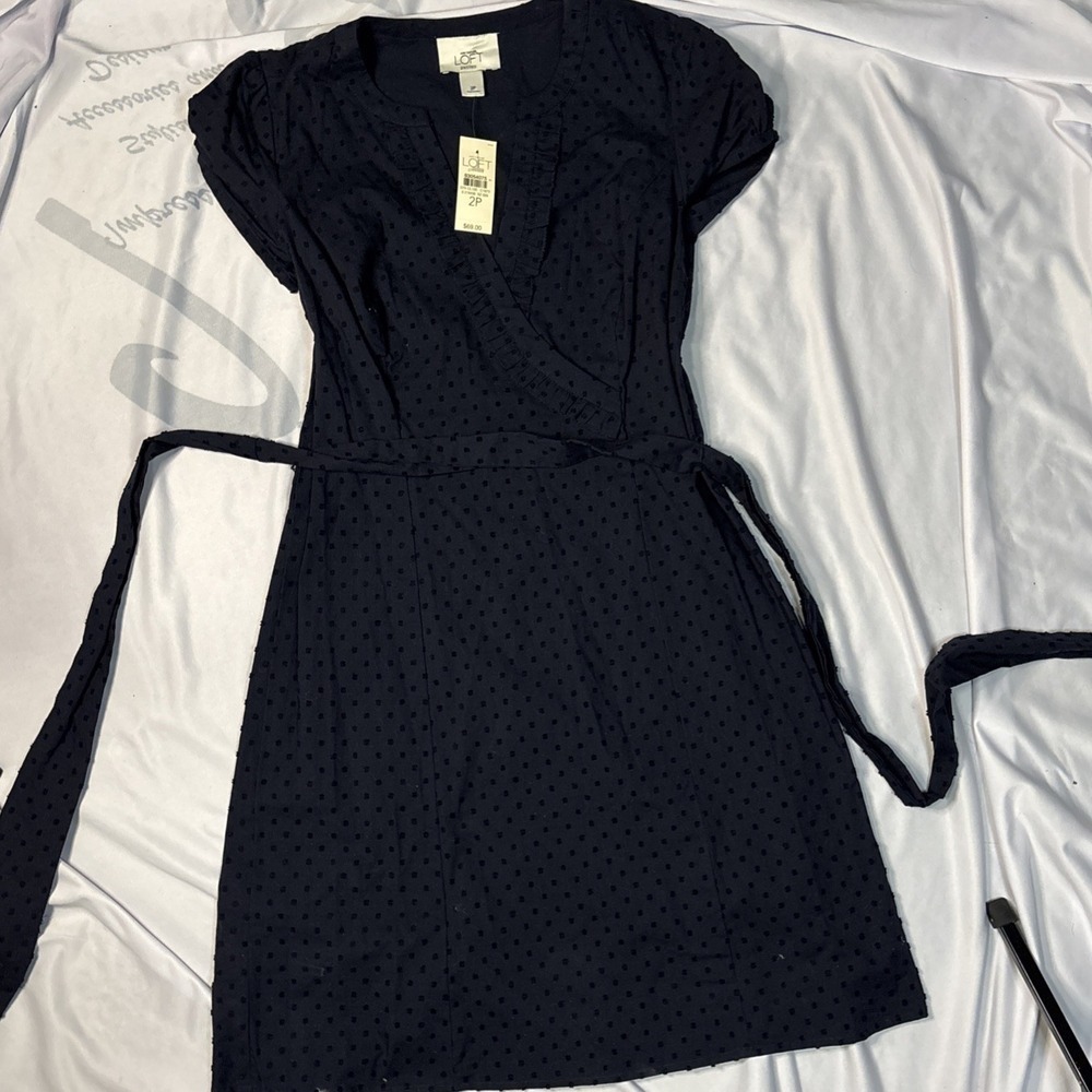 NWT Ann Taylor Loft - Navy/Embroidered Dot Dress, 2 Petite